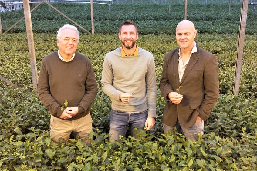 Oprichters Vegetarische Slager stappen in Nederlandse theeproducent Tea by Me