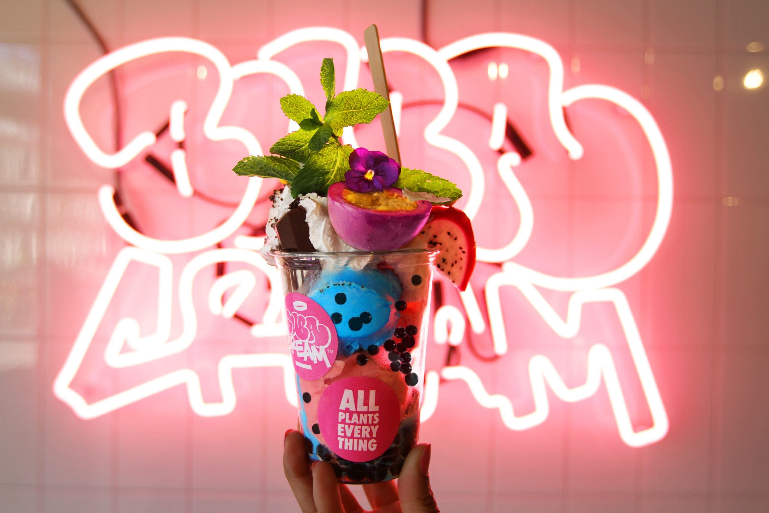 Eerste vegan ijswinkel Buba Cream geopend in Amsterdam