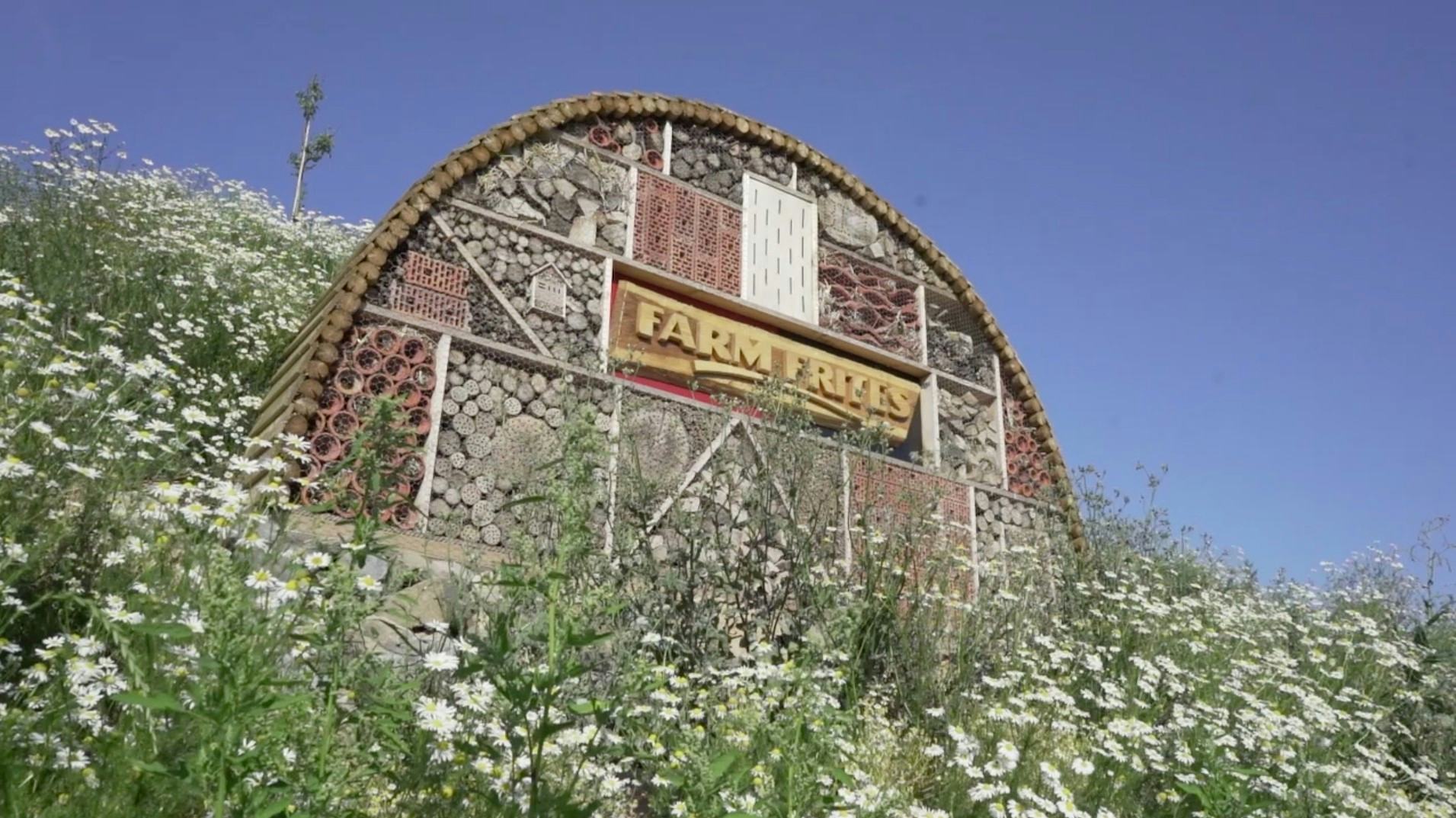 Farm Frites zet grote stap in verduurzaming met groene dijk