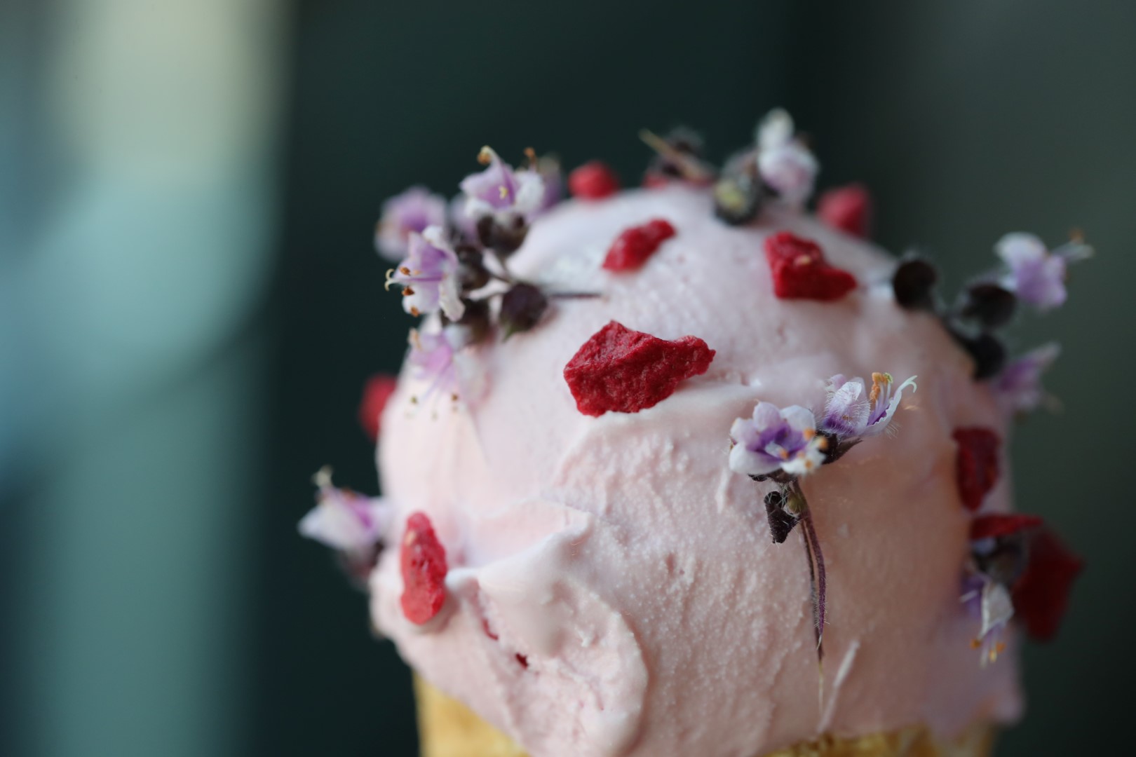 Ruby chocolade-ijs met Zallotti Blossom (paarse basilicum-bloemen)