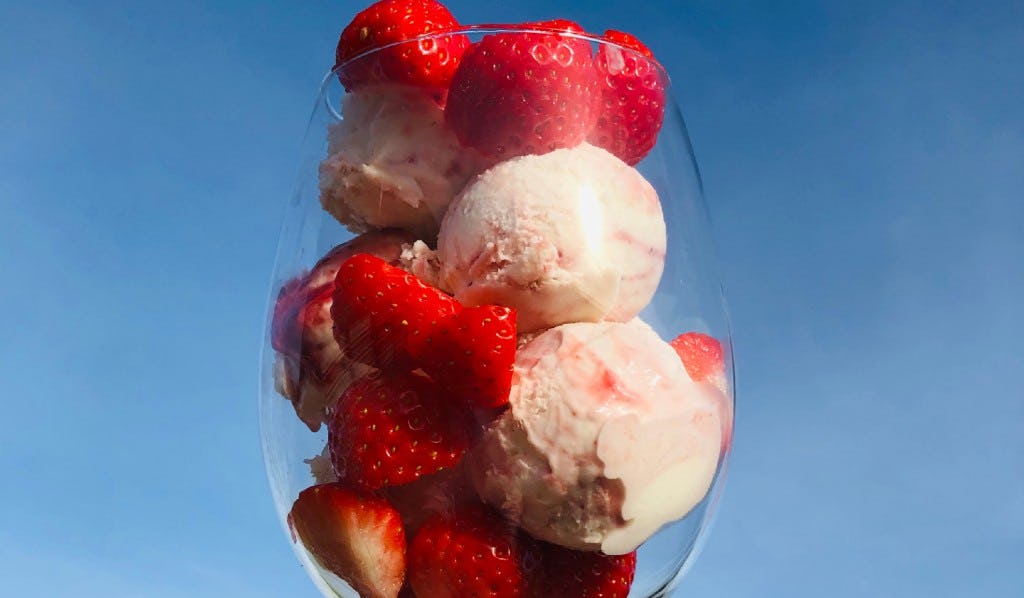 Ambachtelijk IJscentrum heeft protocol dat 'staat als een huis'