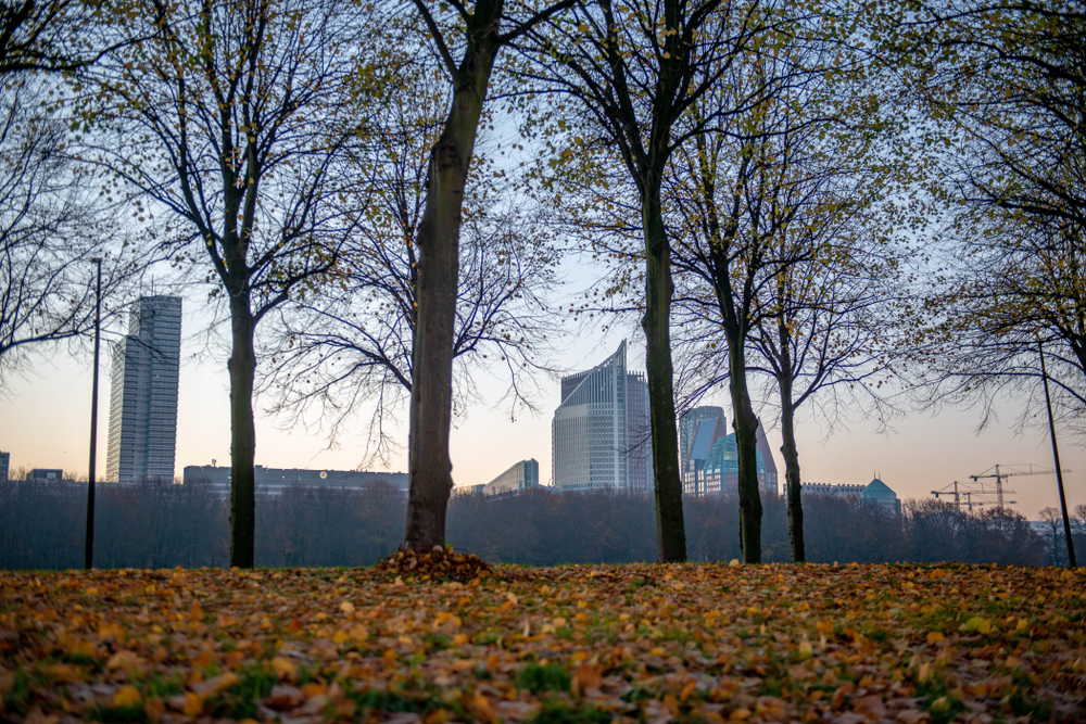 ProFri, VCHO en NHG naar het Malieveld: 'Geen Dreun Maar Steun!'