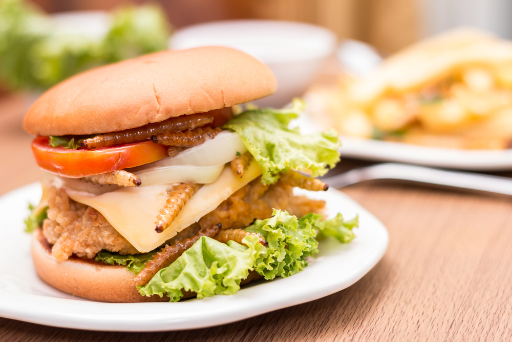 Ikea maakt hamburger met insecten