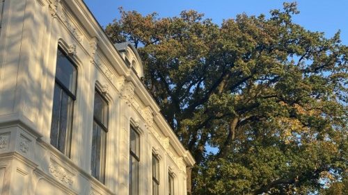 Boutique hotel Flora Batava opent dit voorjaar haar deuren