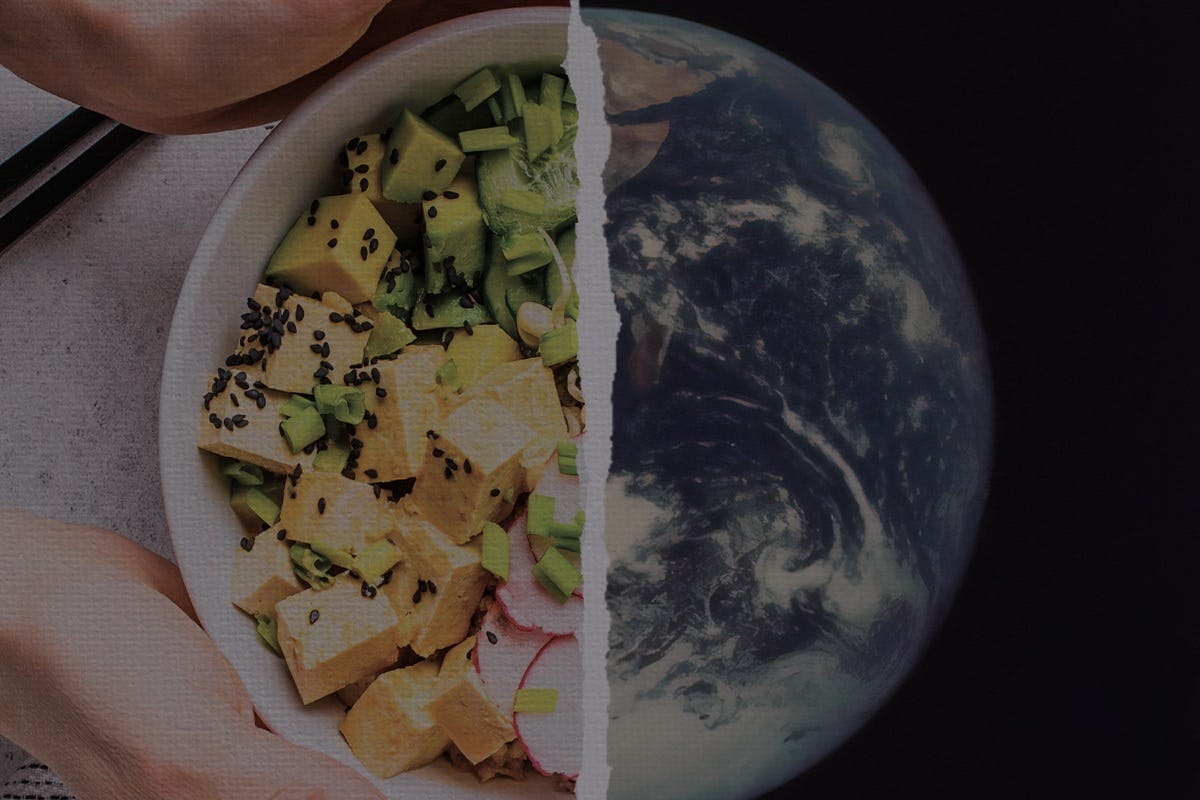 Meehelpen aan #1 oplossing klimaatverandering? Verkoop overtollig voedsel