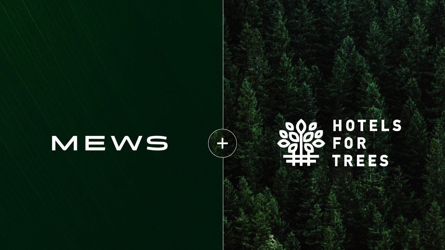 Partnership Mews en Hotels for Trees helpt hotellerie verder verduurzamen