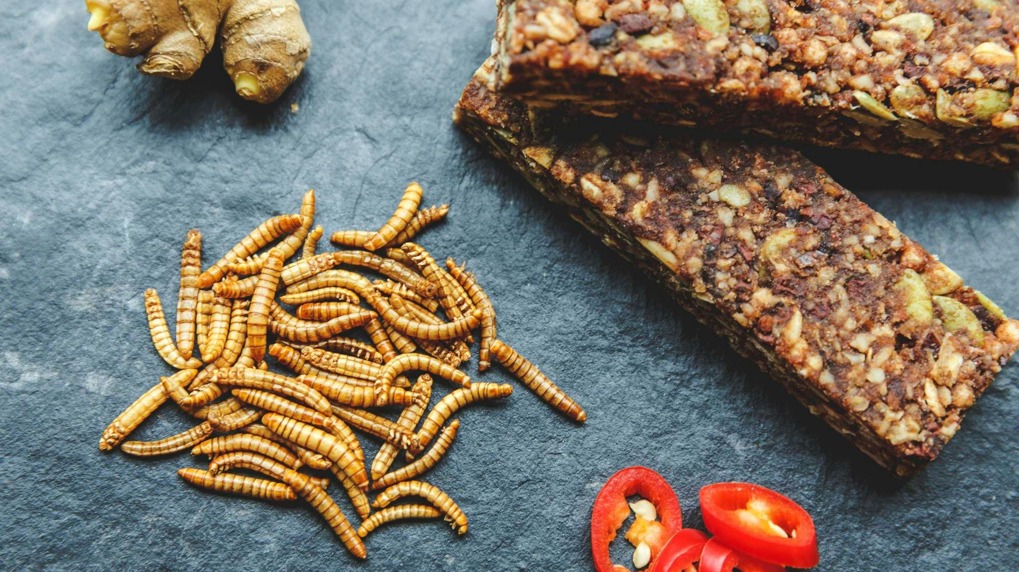 Meelwormreep - foto: Protix