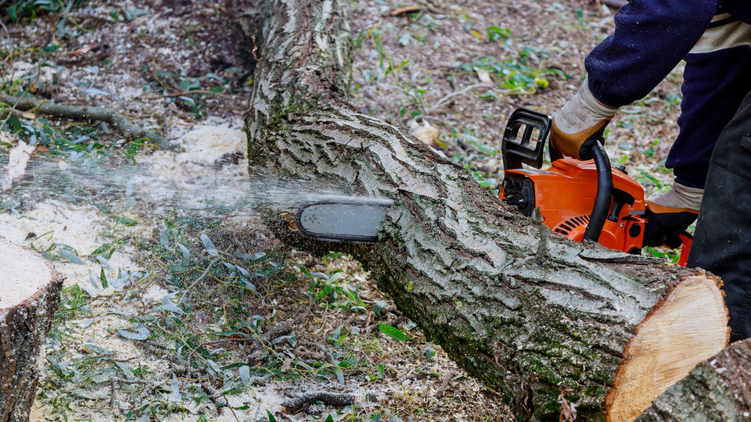 Storm Corrie zorgt voor overlast bij strandhoreca