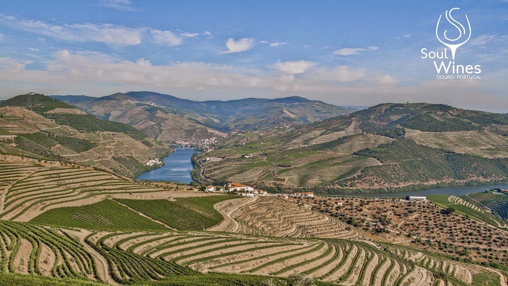 Kom deze maand wijnen proeven  uit het Iberisch schiereiland