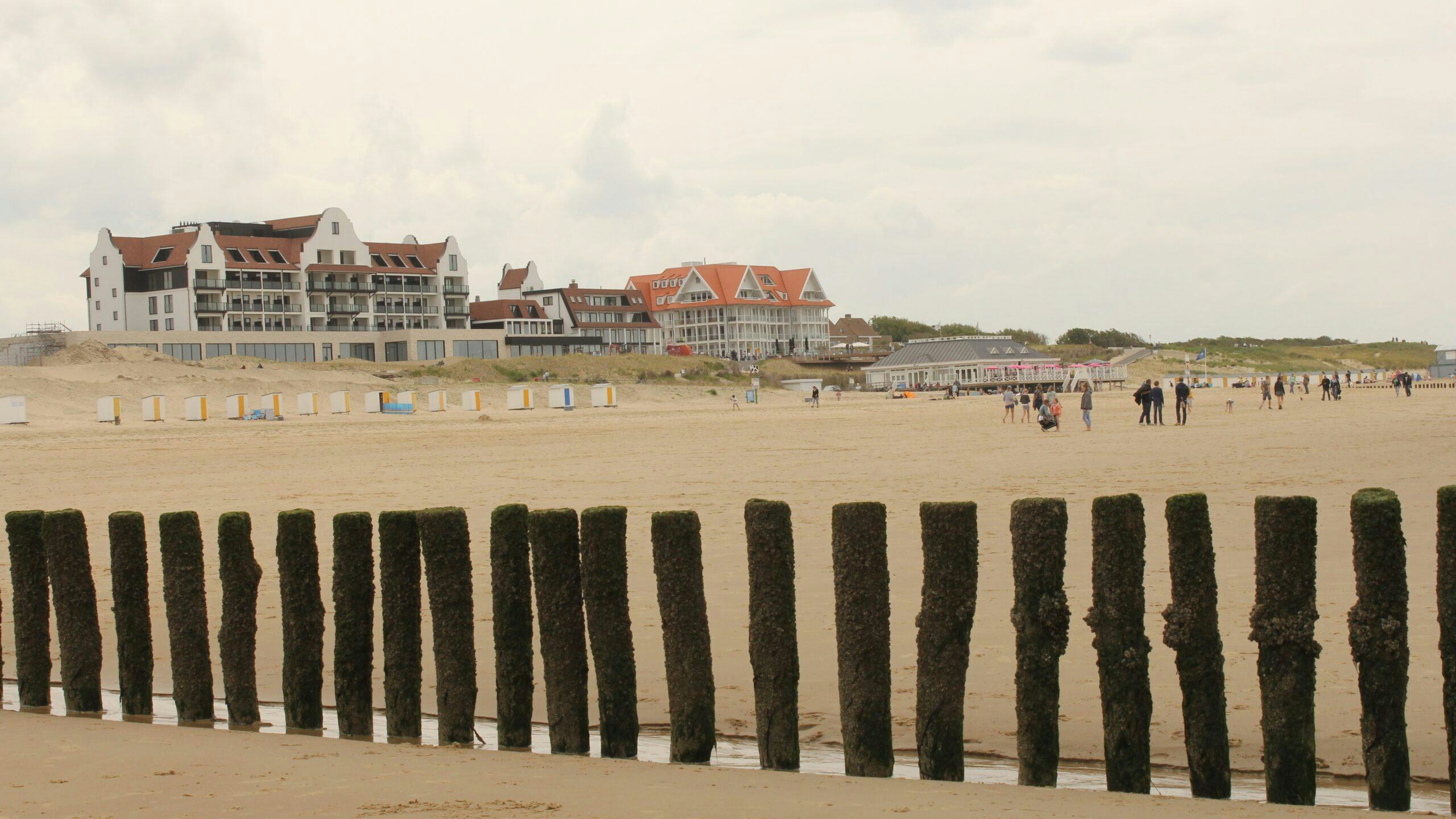 Het strand van Cadzand