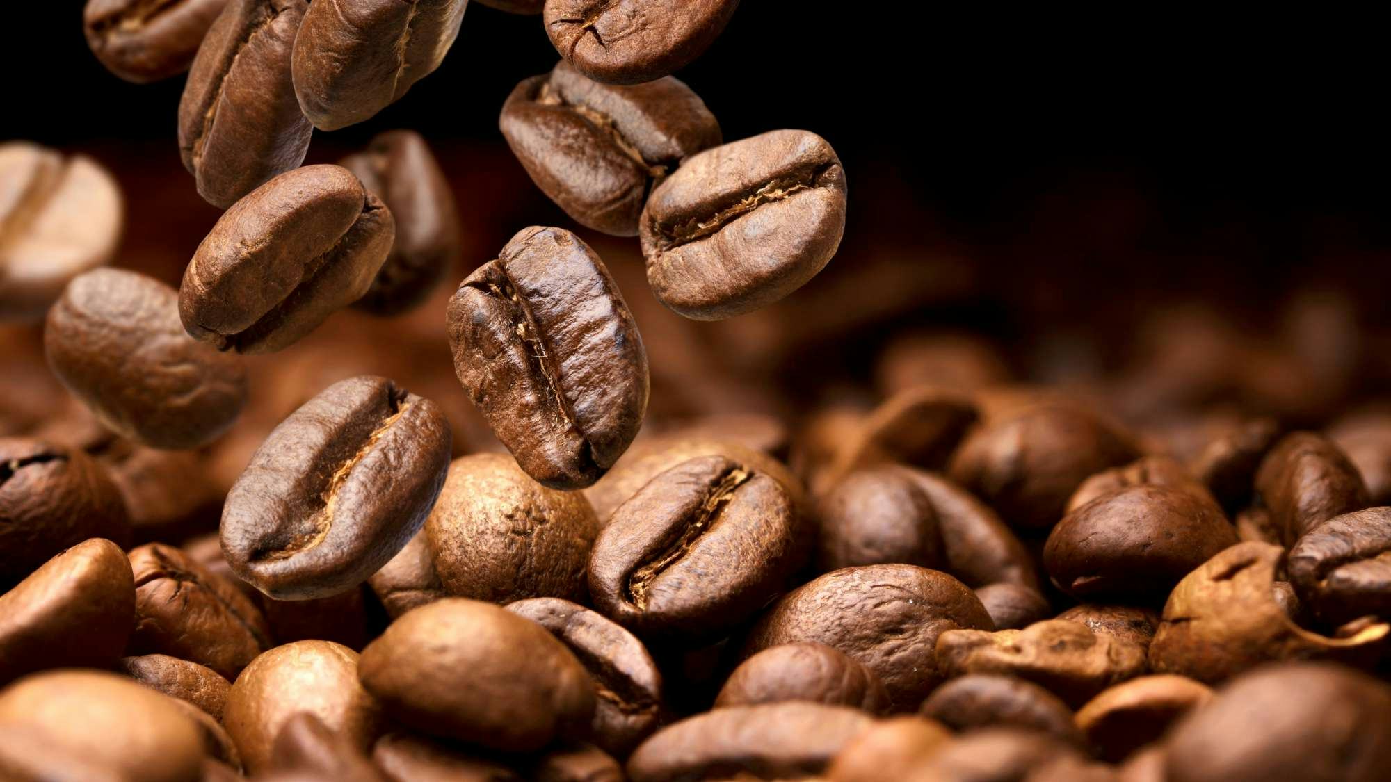 Herken de koffiebonen en verbeter de smaak van de koffie in je zaak
