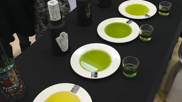 Verkiezing met chefs in jury voor de beste olijfolie