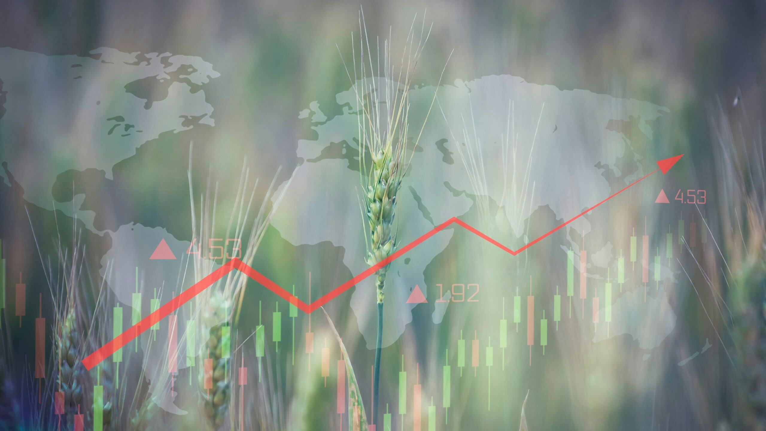 Meer van de koplopersgroep duurzame horecagroothandel