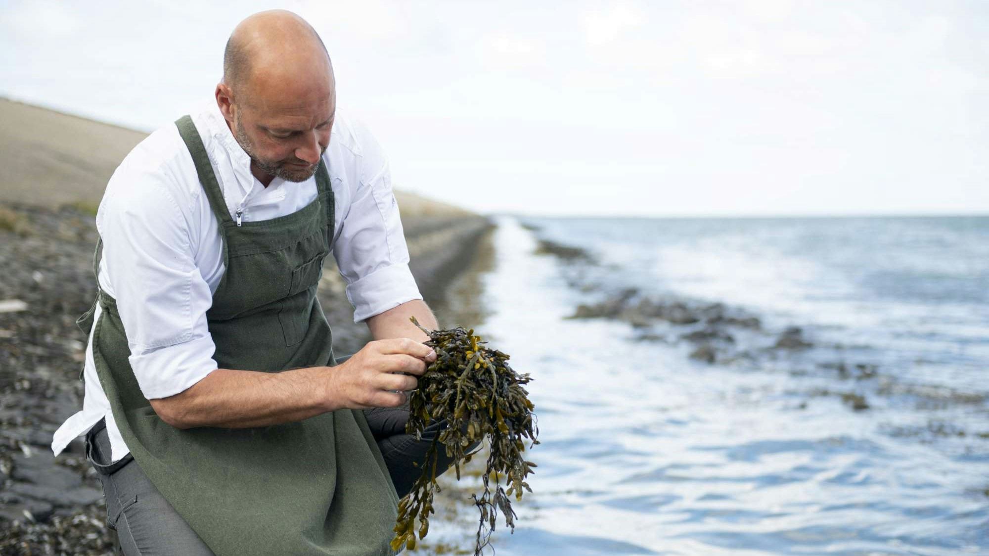 Bij Op Oost en Kook Atelier is een belangrijke rol weggelegd voor de Waddenzee. Foto's: Nikki Natzijl.