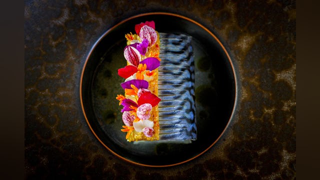 Makreel, tomatenbouillon, boemboe.