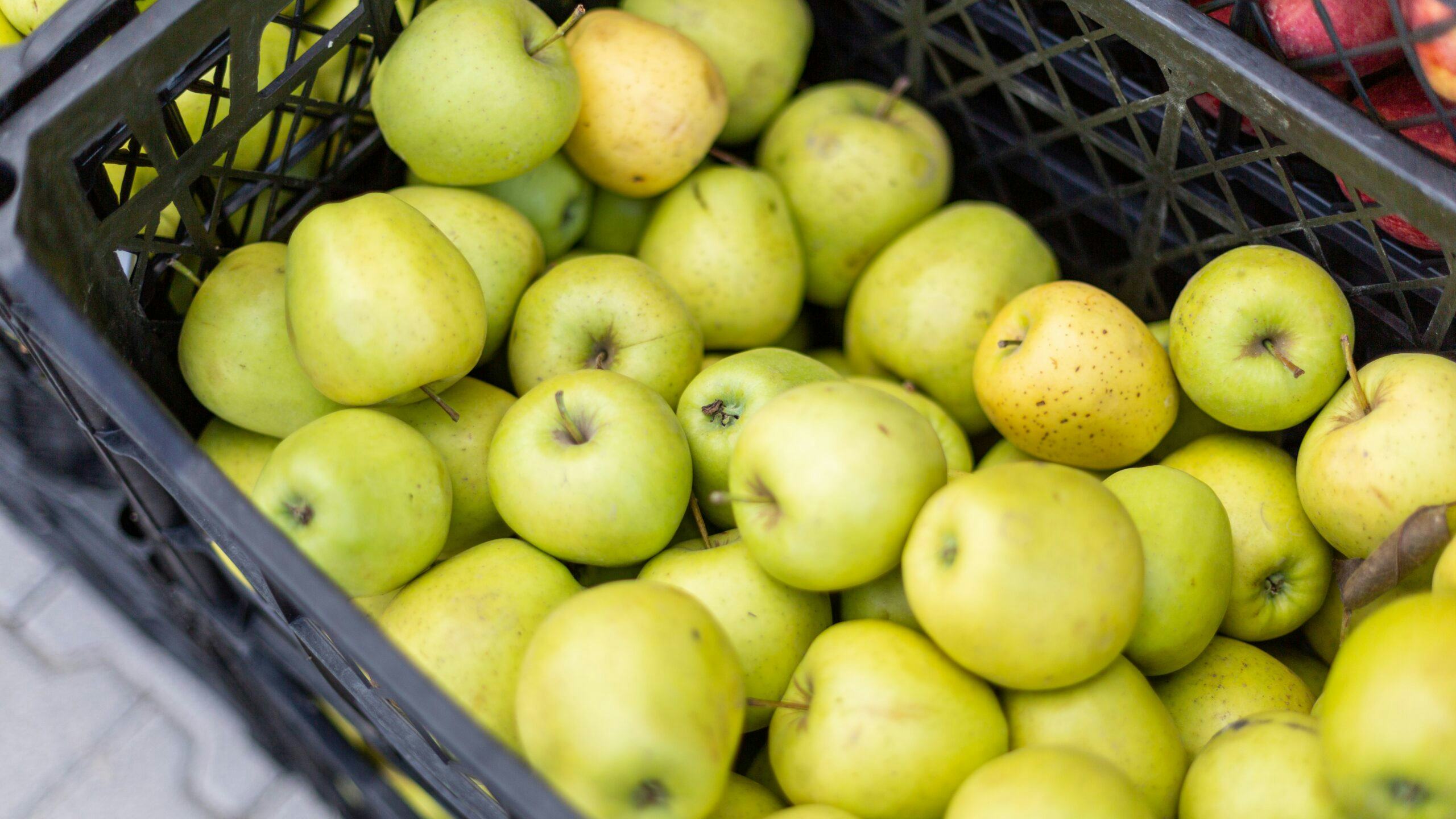 Nederlandse start-up maakt sap van overtollig fruit