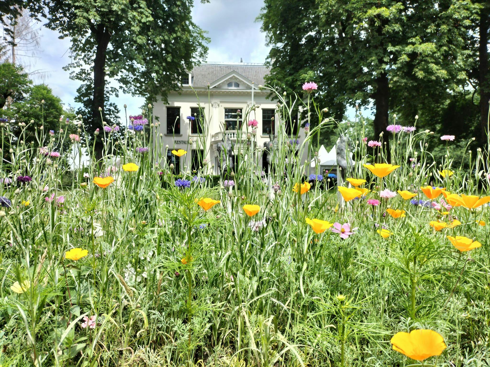 (C) De Blankenborgh Facebook