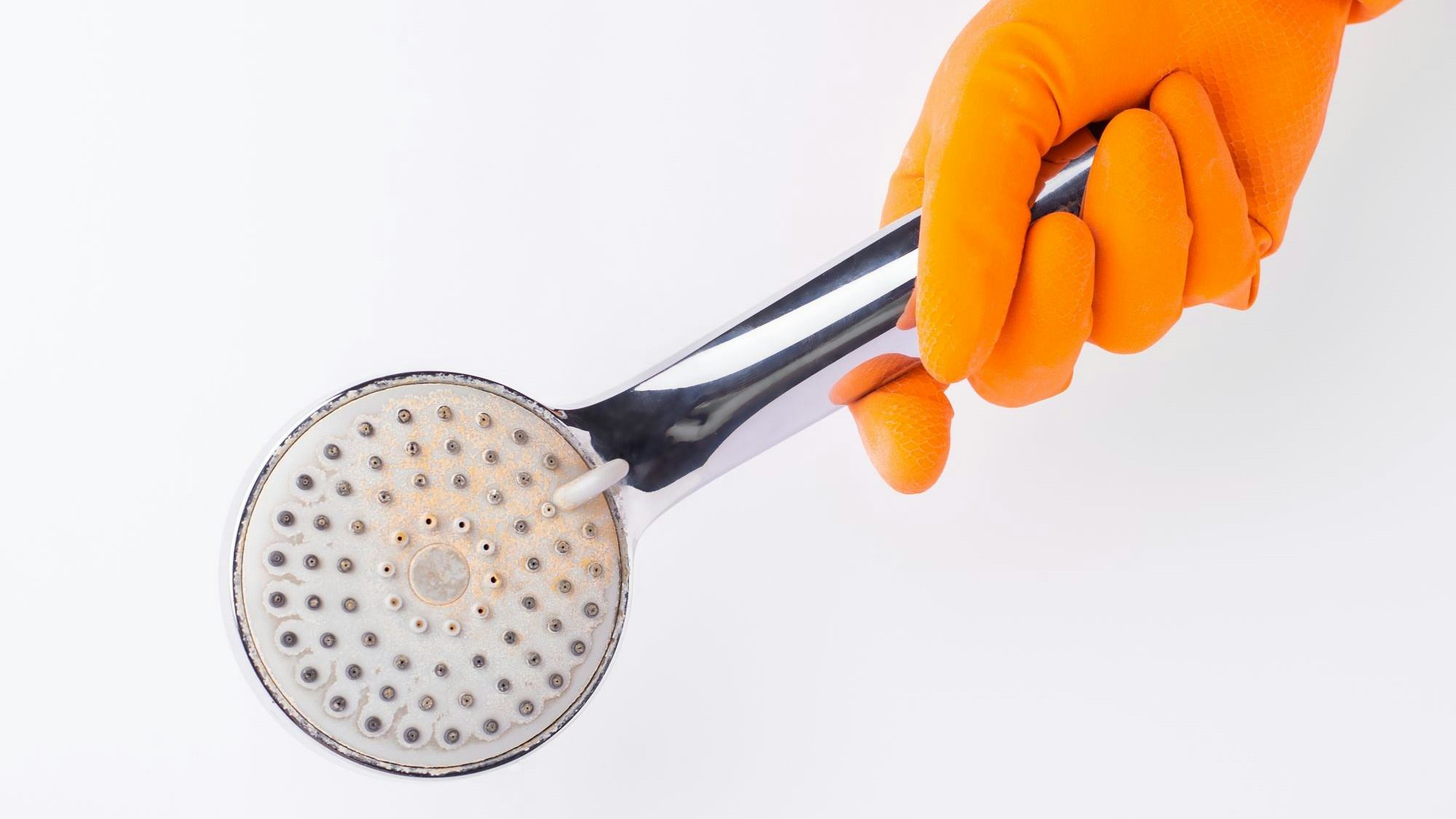 Het gevaar van stilstaand water: zo voorkom je legionella