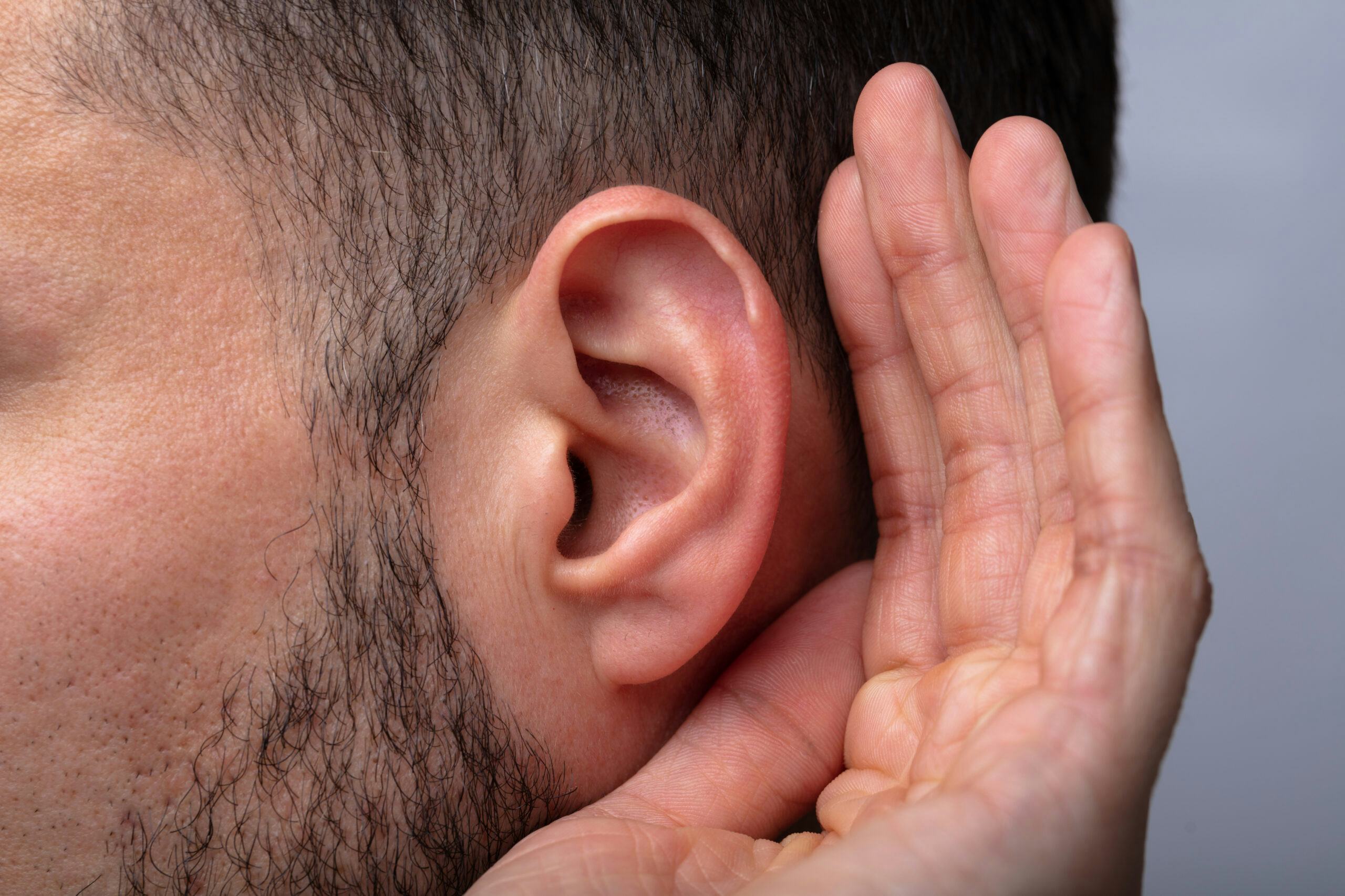 Gezondheidsraad: 'Muziek in horeca moet 3 decibel zachter'