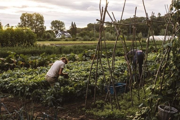 Gault&Millau 2023: Prijs-Plezier van het Jaar