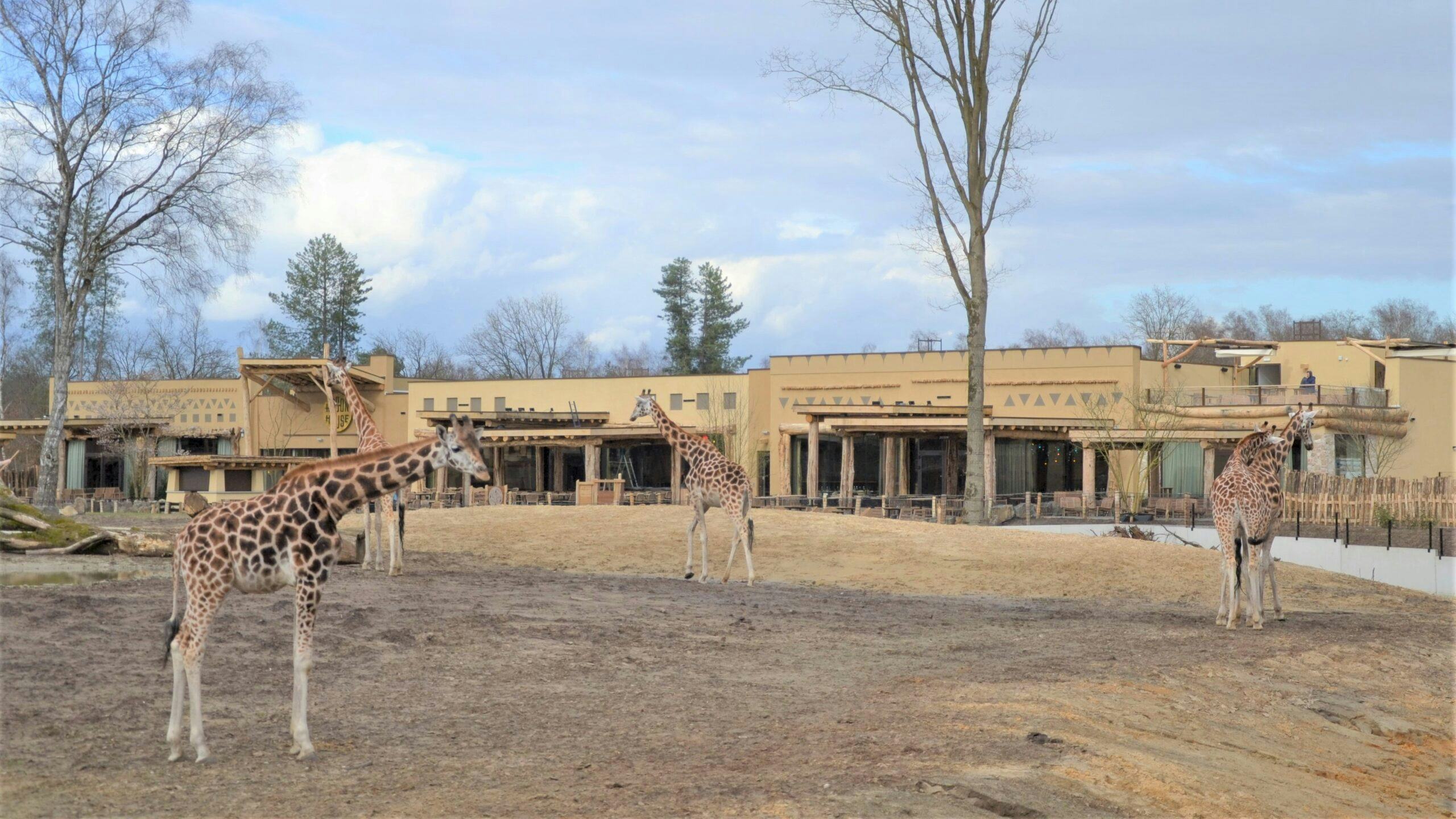 Safari Hotel Beekse Bergen officieel geopend
