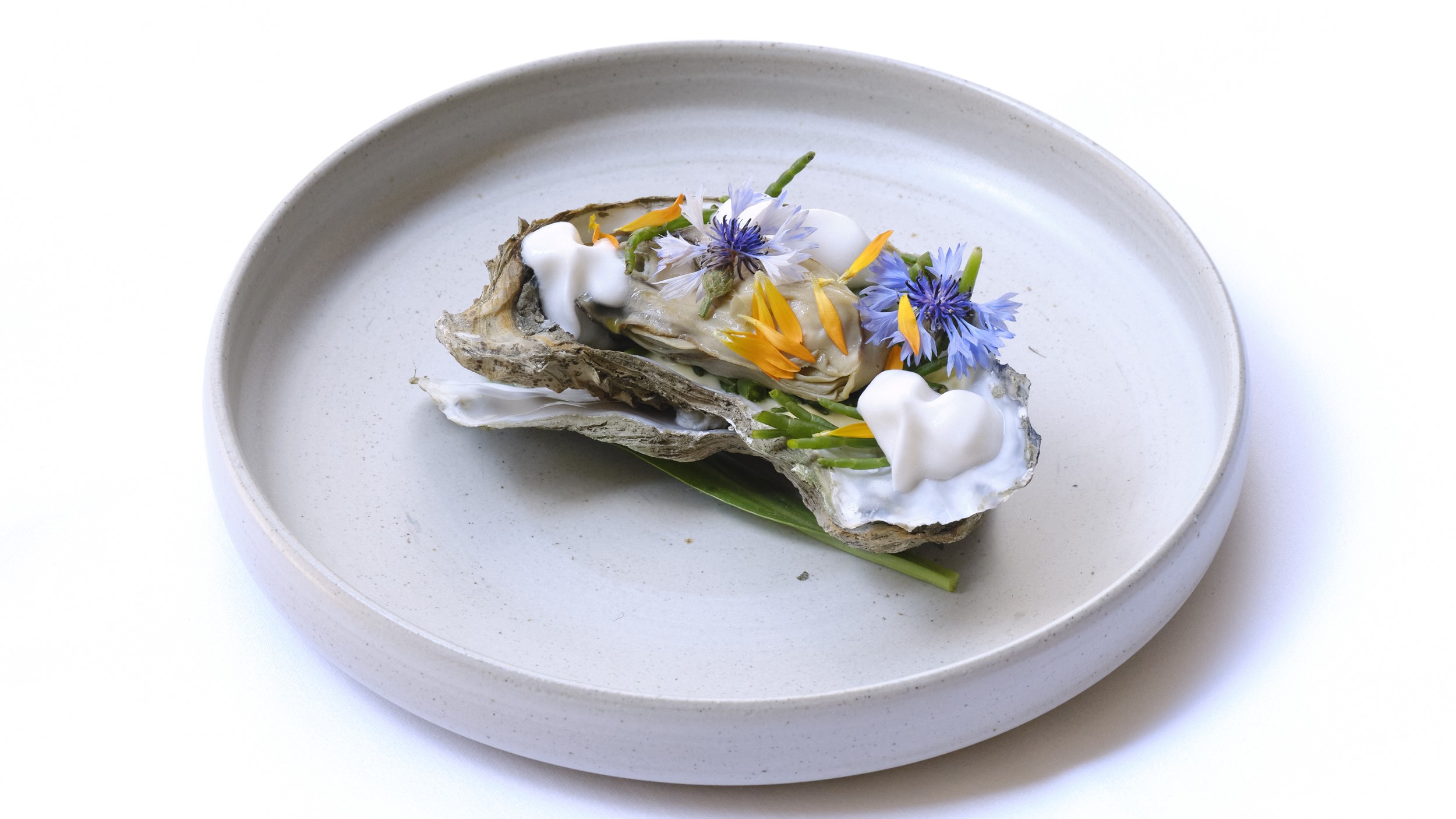 Foto credits: Rinze Vegelien