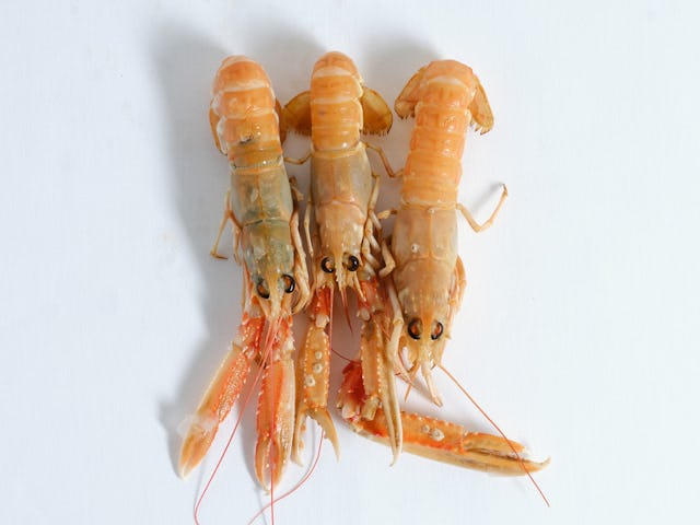 Foto credits: Rinze Vegelien