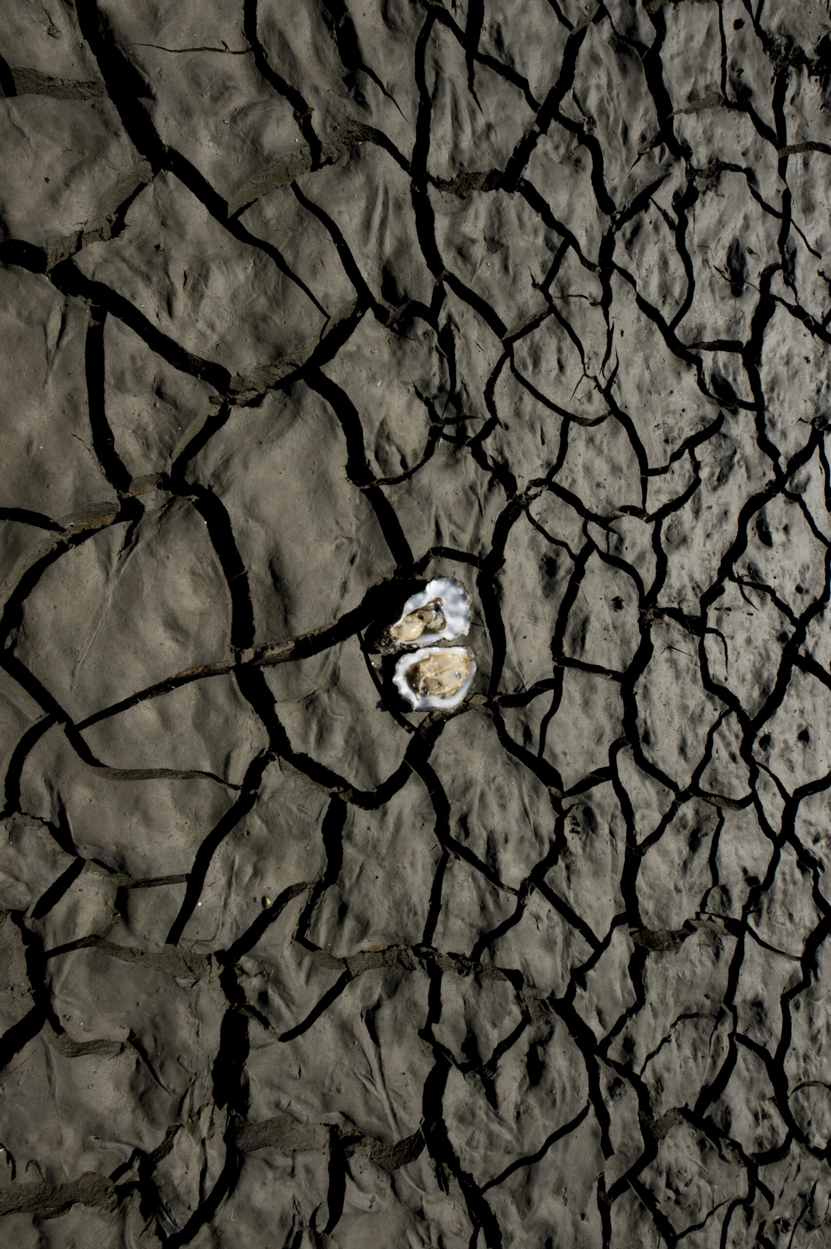 Sterchef Jan Smink presenteert na 4,5 jaar zijn eigen boek, dat anderen moet inspireren