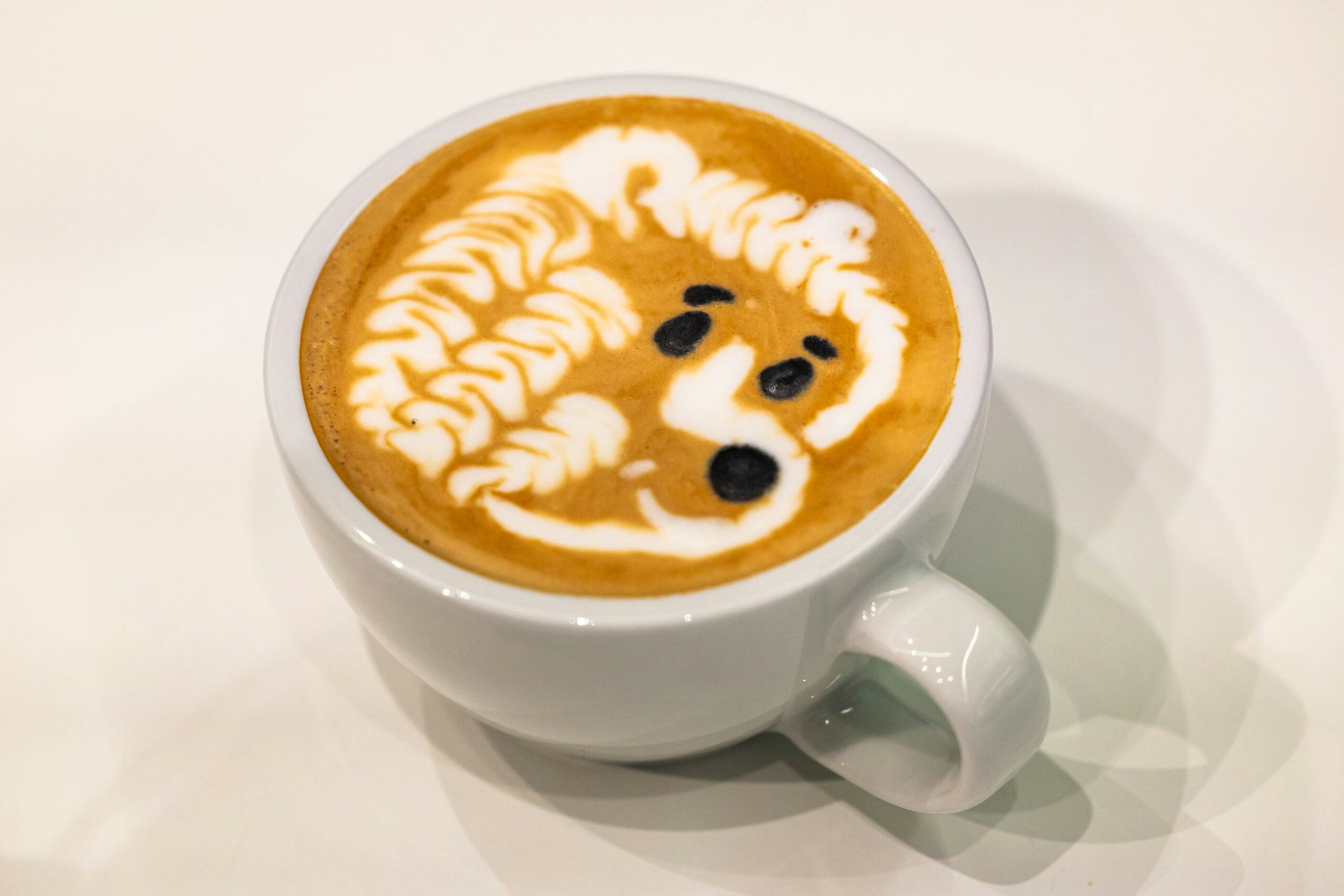 De winnende designer latte art van Jesse Fook: Winnie de Poeh - Foto: Sebastiaan Rozendaal