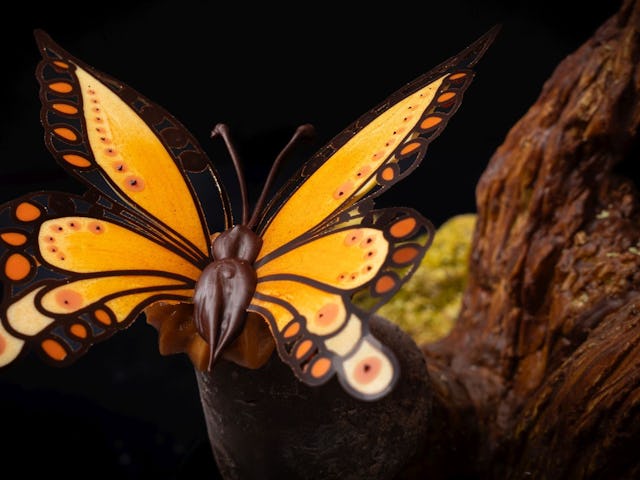 Foto-credits: Charlotte Mauritz, Annoncé Management