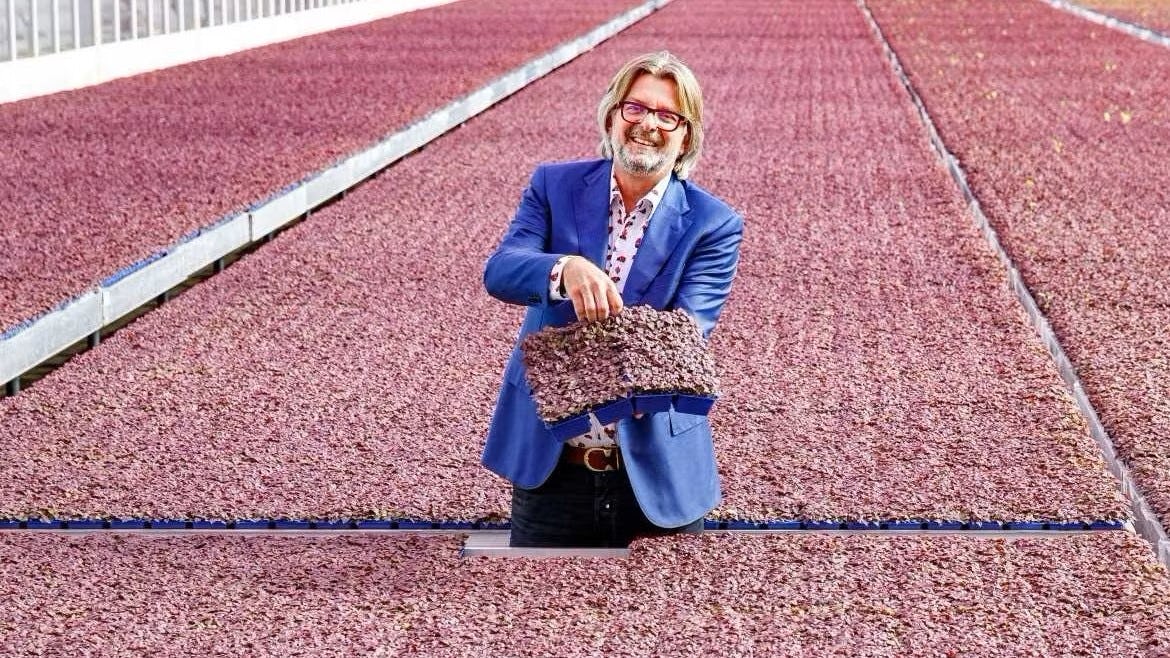 Koppert Cress wint rechtszaak: verstrekken gezonde lunch onderdeel Arbobeleid