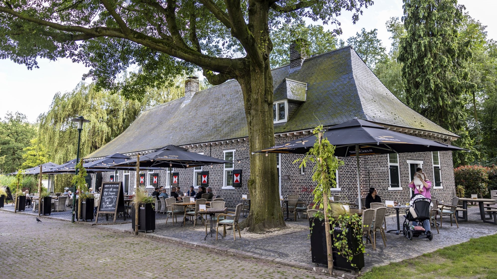 Terras Top 100 2024 nr. 7: Het Dinghuis, Deurne