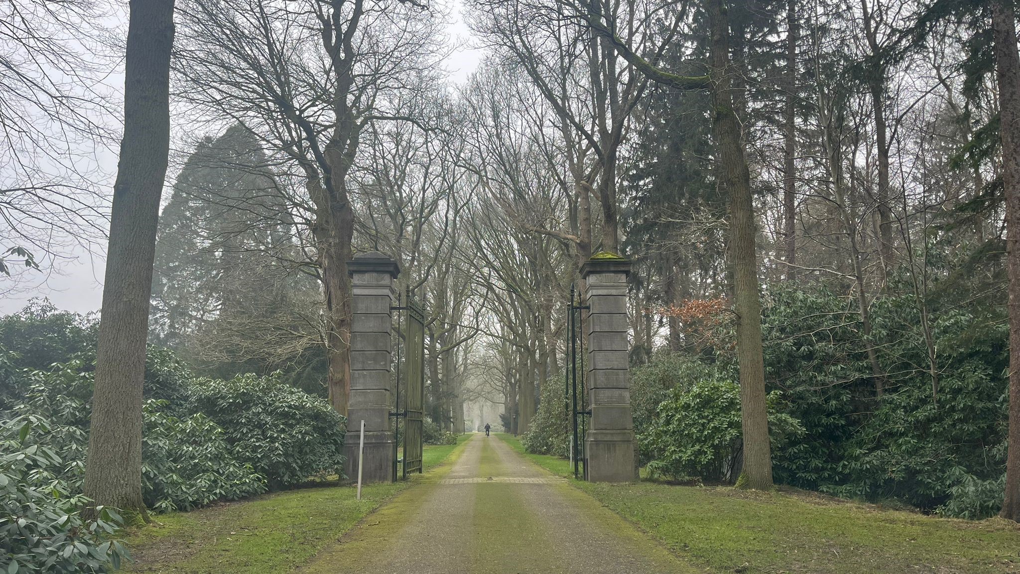 entree.jpeg?auto=compress%2Cformat&q=50&w=720&ar=16%3A9&fit=fill&fill=blur