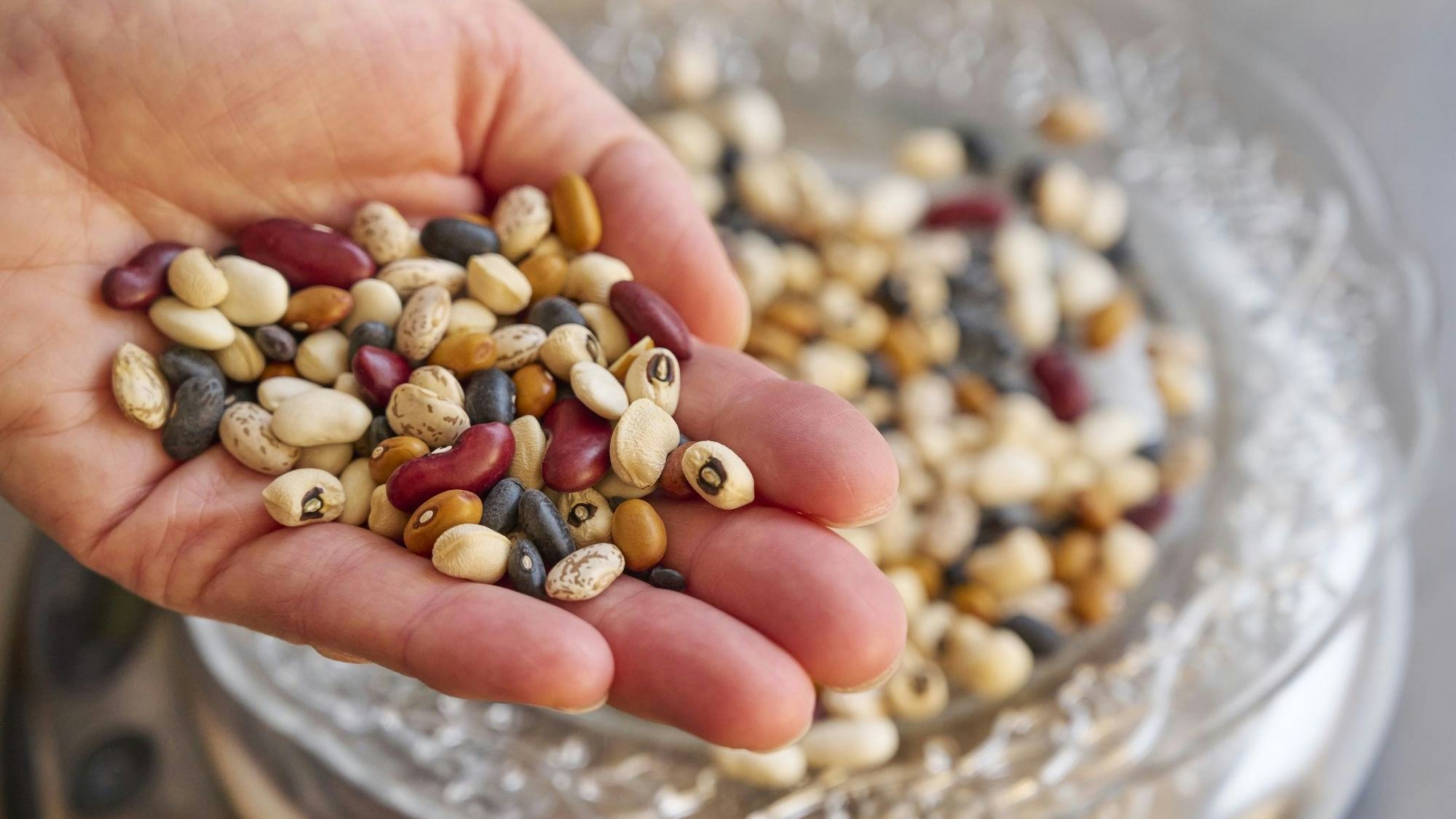 Vijf vegatrends voor 2026: van fibremaxxing tot voedingssuplementen