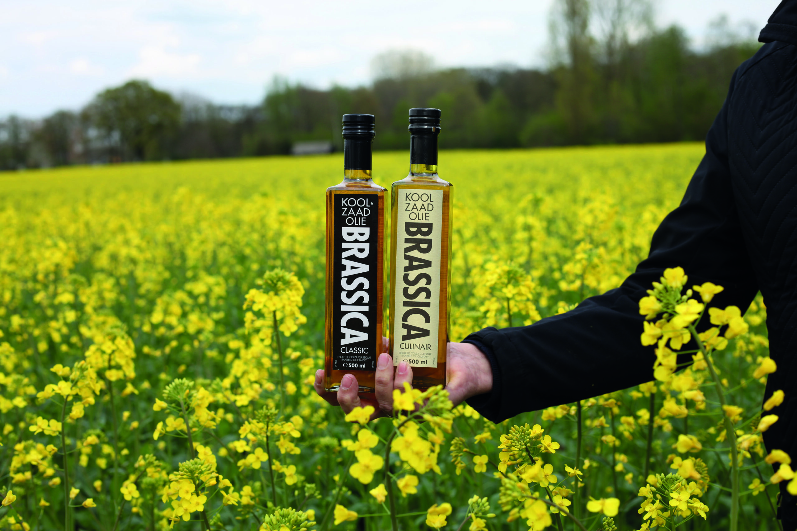 Brassica koolzaadolie een bijzondere olie, omdat deze koudgeperst is uit de kern van de koolzaad.