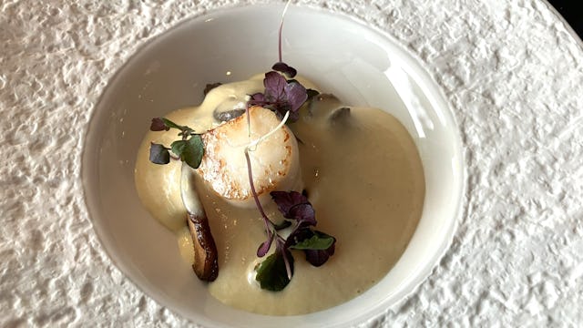 Coquille met paddenstoel XO en beurre noisette