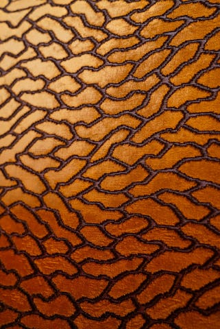 Ntourage heeft een uniek interieur, met veel verschillende stijlen.