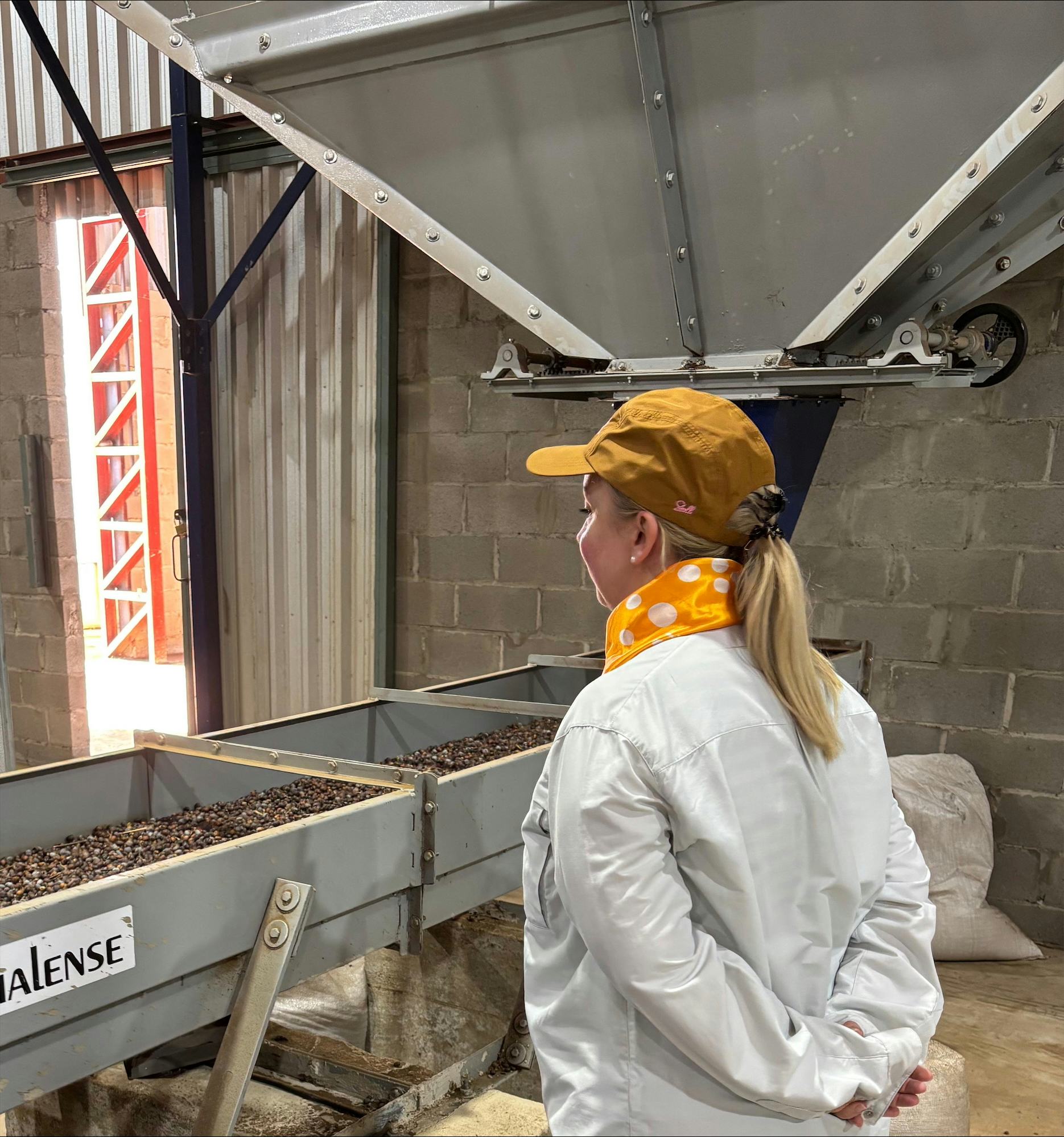 Judith ontdekte dat veel afhangt van de verwerking van de bessen.