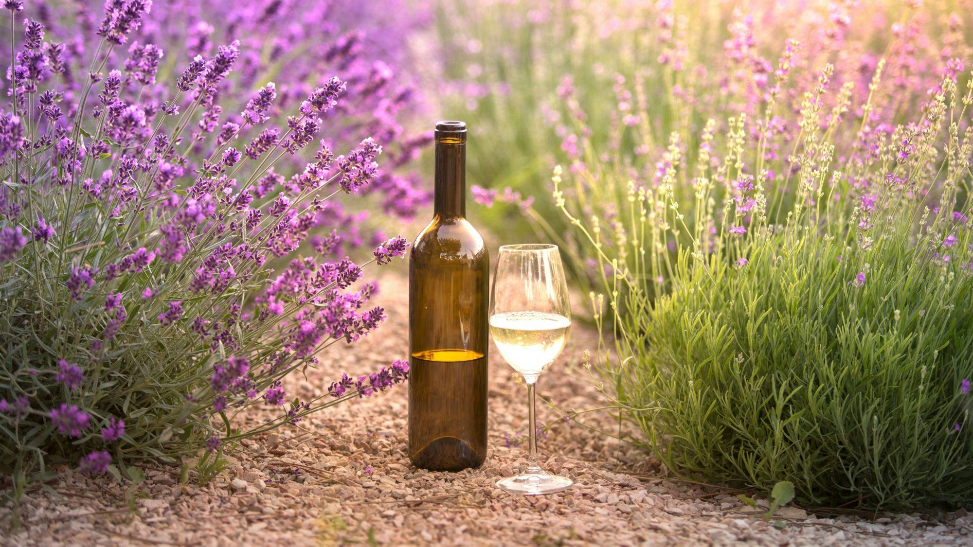 Trends in voorjaarswijnen: betaalbaar en verteerbaar