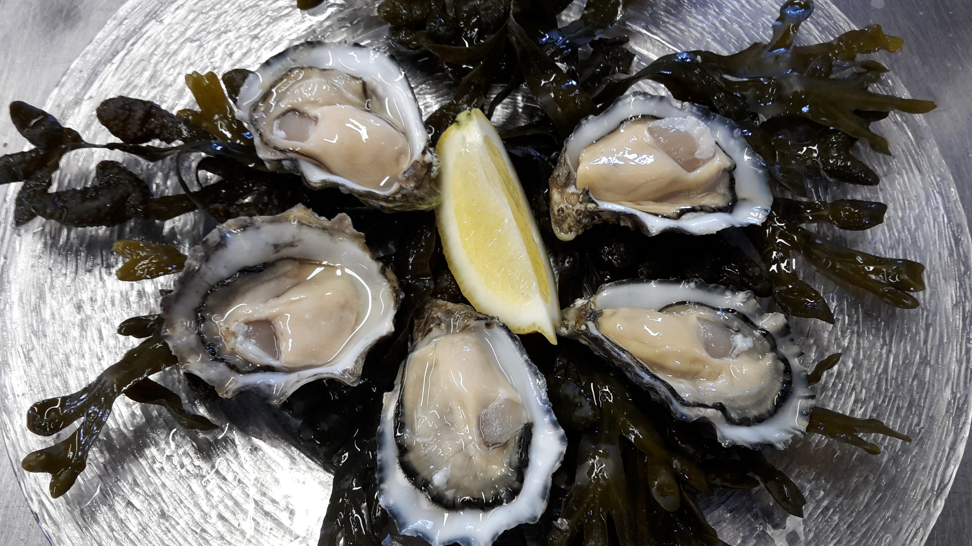 Het geheim van de Oesterij: na succesvolle horeca lonken er nu ook ...